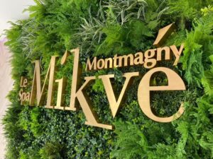 mikve-2
